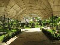 Apart Hotel Paraiso Tropical Garden
